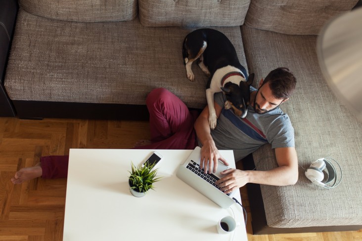 Man works from home with dog