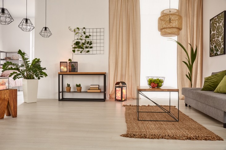 Living room with plants and lamps